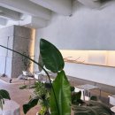 카페봄(cafe,봄) | [인천.영종] 영종도 카페 다시봄 바스크치즈케이크와 말차컵케이크 후기