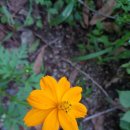 길업 | 용인 아이와 산책 하기 좋은곳 ㅡ침강저류지 습지생태공원