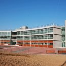 안전교육코스 티스토리