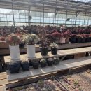 이정농장 이미지