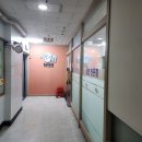 아리굴 이미지