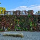 별빛하루 이미지