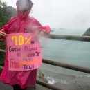 Taiji drops anchor on dolphin hunts despite increasing pressure 이미지