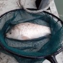 OK낚시터 이미지