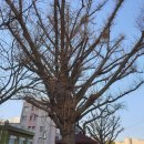 구인천여고 공영주차장 이미지