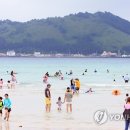 원안해수욕장 연합뉴스