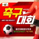 용인대호랑이태권도장 이미지