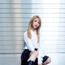 웬지