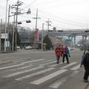 꼬꼬상회 이미지