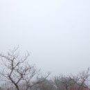 삼성암밑 이미지