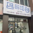 댕댕이 애견샵 | 군포 애견미용 잘하는곳 도그미뇽 토이푸들 미용 후기 스파까지 받은 베베 비포에프터
