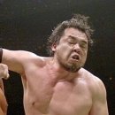 핑크 스파이더 이미지