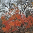 좋은친구들 이미지