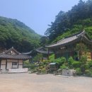 월리사 사적비月裡寺 事蹟碑 | 달빛머무는천년고찰/월리사