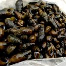 맑은물펜션 이미지