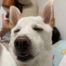 제일약국 | 전주푸른안과 다정하고 멋있는 원장님과 함께한 스마일 라식수술 솔직후기 ㅣ검사부터수술까지