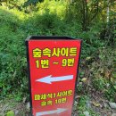 동그라미캠핑장 이미지