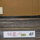 타로뷰 | 종로이색데이트 _ 타로카페디바 타로+사주 후기