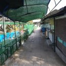 서석목장 이미지