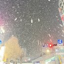 이도비어원주 | 귤에 붙은 건 귤락 나한테 붙은 거, 나락