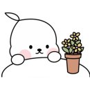 케이제이케어