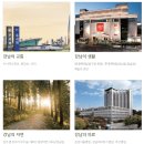 티어하우스 이미지