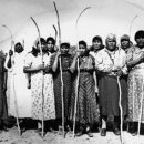 (주)피마 이미지