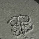 정임도서관 이미지