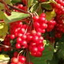 대한건재 이미지