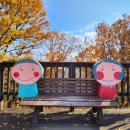 정원행정사 사무소 이미지