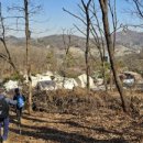 장유 선생 묘 및 신도비 이미지