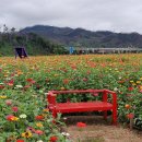산소카페 청송정원 매표소 근처 | 청송정원 산소카페 백일홍