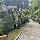 천지연폭포주차장 네이버블로그