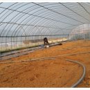 덕재농장 이미지