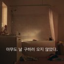 펫다이어리 이미지