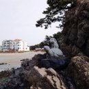 자라바위 펜션 이미지