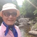 수림소방 이미지