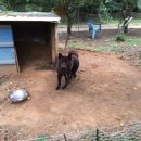 한우리농장 이미지