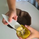 점보마트 | 추석선물세트 고민된다면? 맛젤 제스프리 골드키위 점보 과일선물 후기