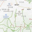 세븐일레븐 망미점 이미지