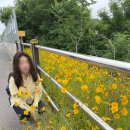 오죽헌주유소 이미지