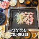 안성 가성비 맛집, 쌈마이대패 점심특선 솔직 후기 (+주차, 샐러드바)