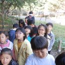 도당초등학교 이미지