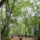 장동슈퍼 | 대전 아이와 가볼만한곳: 비 온 뒤 더 좋은 장동산림욕장 계족산 황톳길 & 뻔뻔한 클래식 주말 공연 후기
