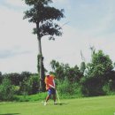 키덜트골프클럽 이미지