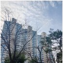 화서공인중개사사무소 이미지