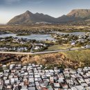 Luxury Dog 이미지