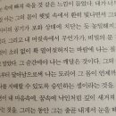 끓어오르는 문장. 제임스 볼드윈의 [조반니의 방]