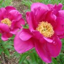 가곡쉼터 이미지