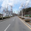 삼봉초교 티스토리